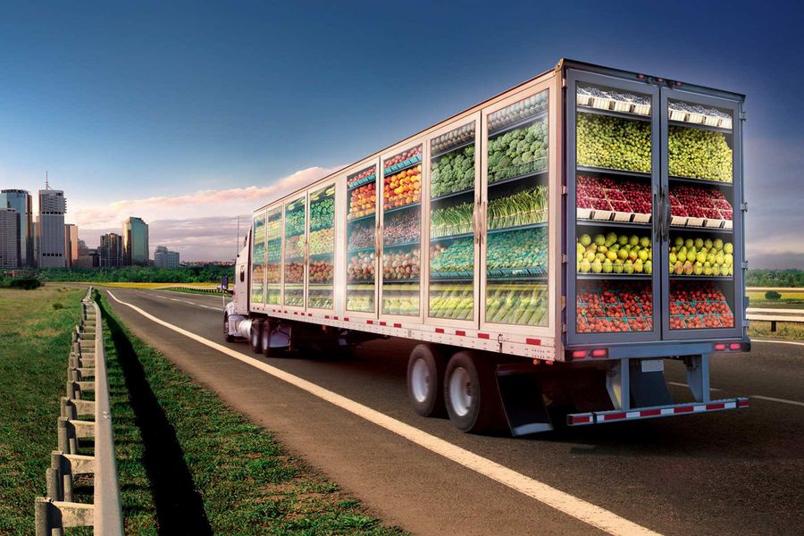 Особенности перевозки овощей и фруктов автотранспортом